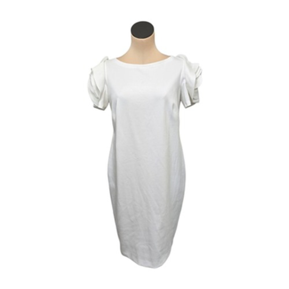 Pietro Brunelli Dress Womens Medium Ruffle Sleeve Sheath Made in Italy‎ Elegant
